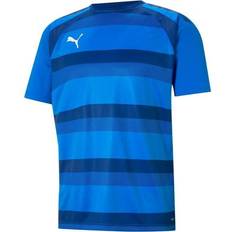Puma teamVISION Trikot Herren