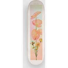 Grau Decks Sovrn Playground 8" Skateboard Deck weiss