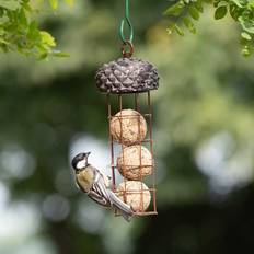 Bird Fågelmatare Acorn talgbollar