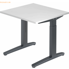 Height Adjustable 650 850 mm