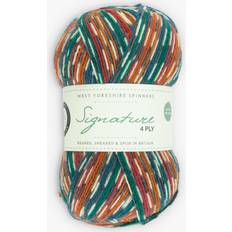 West yorkshire spinners signature 4ply pheasant 855