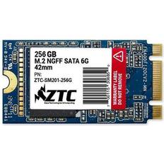 Ztc Armor 42Mm M.2 Ngff 6G Solid State Ssd Disk 256Gb