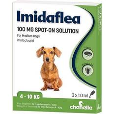 Pet flea treatment Imidaflea Spot-On Solution Flea Treatment Rabbits