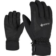 Garwen GTX Glove Ski Alpine - Black