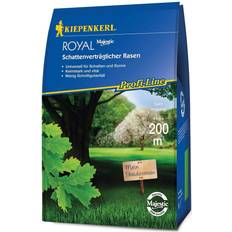 Semi di fiori Kiepenkerl Erba Seed Profi-Line Reale 4Kg