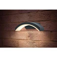 Integral Curve Wall light