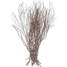 Natural Christmas Trees Vickerman 36 Tigerwood bundle 25 stems Christmas Tree