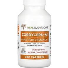 Mushrooms Cordyceps-M Mushroom Extract Powder 300
