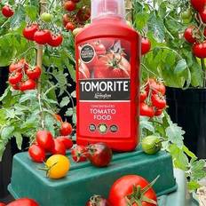 Levington Tomorite Concentrated Tomato Food 1.2L