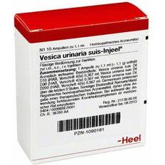 Haustiere Biologische Heilmittel Heel GmbH VESICA URINARIA suis-Injeel Ampullen 10 St.