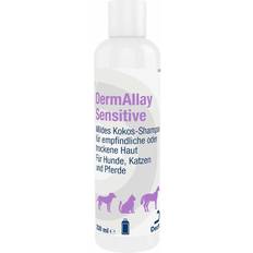 Dechra Haustiere Dechra Dermallay Oatmeal sensitive Shampoo vet.