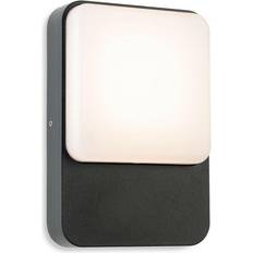 Firstlight Hero LED Wall light