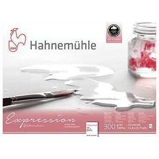 Papiers aquarelle Hahnemuhle expression watercolour block, 20 sheets, 30x40cm not