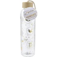 Paladone Harry Potter Vattenflaska 0.5L