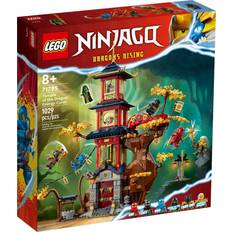 LEGO Ninjago LEGO Ninjago Temple of the Dragon Energy Cores 71795