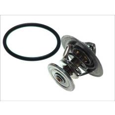 Biler Motortermostater Kølemiddel BorgWarner 4264.87D