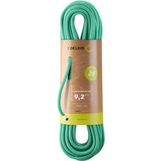 Yellow Climbing Ropes Edelrid Climbing Ropes Hummingbird Eco Dry 9,2mm Icemint-Citrus Green