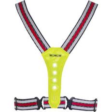 Endurance Belt