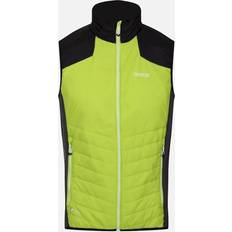 Elastaan/Lycra/Spandex Vesten Regatta Halton VI Lichtgewicht Body Warmer - Groen