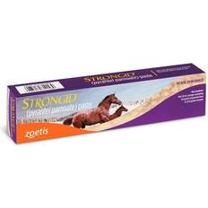 Equestrian Zoetis Strongid Paste