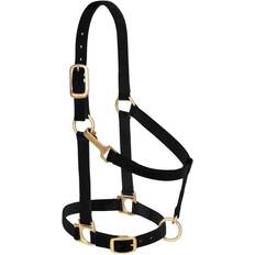 Horse Halters on sale Weaver Leather Nylon Horse Halter Padded Adjustable - Brass Plated