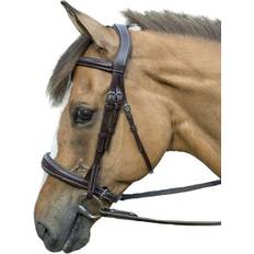 Bridles HDR Pro Mono-Crown Padded Bridle Oversize Havana