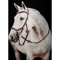 Micklem Dlx Competition Bridle Horse Havana