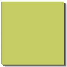 Green Photo Albums Bazzill mono cardstock 12"x12"-limeade/canvas 25 pack