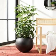 Safavieh outdoor collection gerand planter