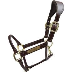 Kentucky Anatomic Leather Halter - Brown