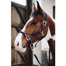 Licols pour chevaux Kentucky Licol en nylon tressé