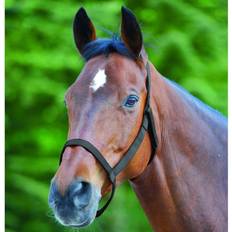 Halters & Lead Ropes Waldhausen Field Horse Halter - Rouge