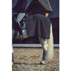 Catago Saddle Pad For Cooler Horses - Bleu