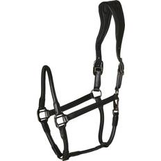 Cob Halfter Catago Equestrian Lederhalfter Braun