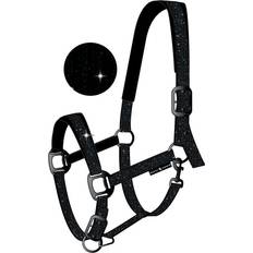 Horse Guard Halter For Jewel - Noir