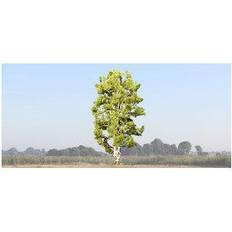 Fils et Fournitures de Couture Noch 0021641 Tree Beech 190 mm 1 pcs