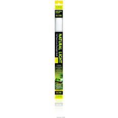 Exo terra natural light Exo Terra Fluorescent Natural Light