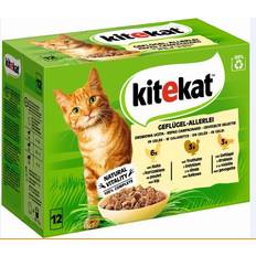 Kitekat Kæledyr Kitekat Geflügelallerlei in Gelee Multipack 12x85