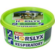 Horslyx Mini Lick Respirator 650g