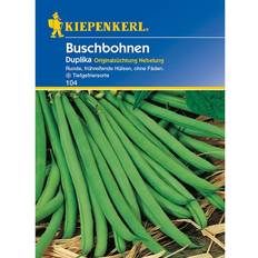 Kiepenkerl Buschbohne 'Duplika'