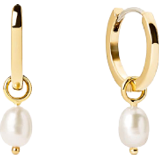 Ana Luisa Frida Huggie Hoops Earrings - Gold/Pearl