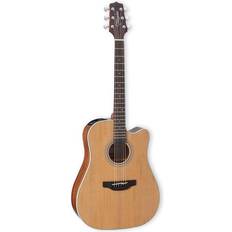 Takamine GD20-NS