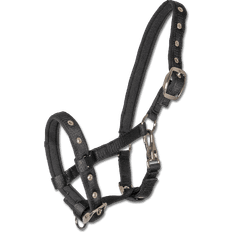 Longes et Licols Waldhausen Comfort Foal Halter - Bleu