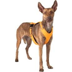 Paikka Visibility Harness Sele Orange L