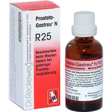 Sprays & Cremes Dr. Reckeweg PROSTATA-GASTREU N R25 Mischung 50 Milliliter