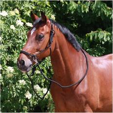 Cabestros para caballos Waldhausen Cabestro con nudos y riendas