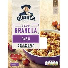 Oat Granola Raisin