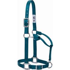 Turquoise Horse Halters Weaver Nylon Chrome Adjust Halter Teal