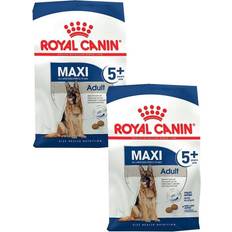 Royal Canin maxi adult 5+ hundefutter große hunde ab 5 jahre