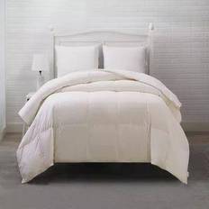 Organic Bedspreads Allied Home Unbleached Organic Cotton Thread Count Bedspread White